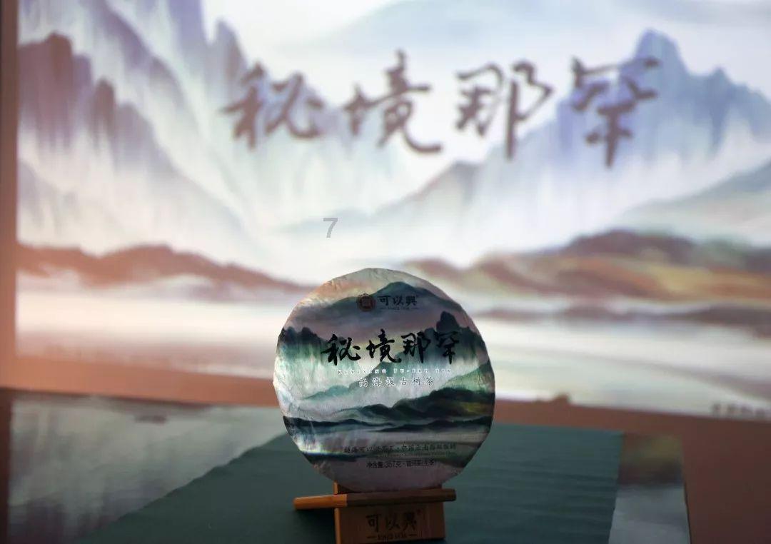 创作猫